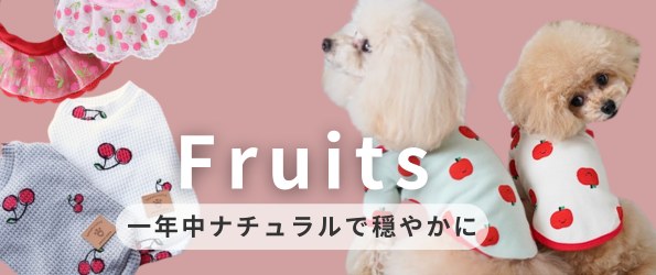 フルーツ柄の犬服