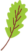 葉っぱのイラスト