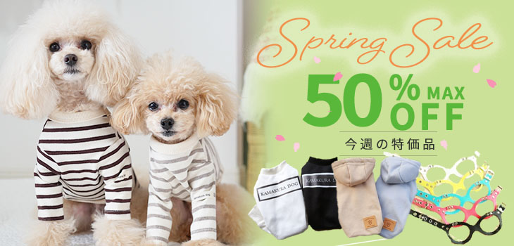 今週の特価品