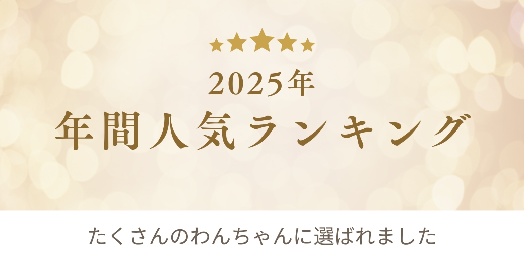2025年 鎌倉DOG 年間人気ランキング