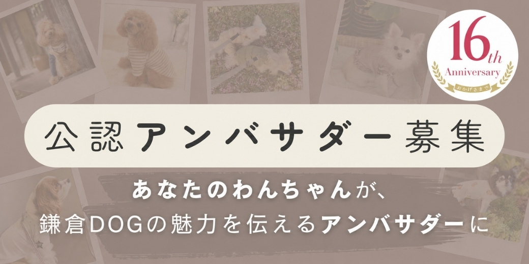 鎌倉DOG 公認アンバサダー【第2期】募集のお知らせ