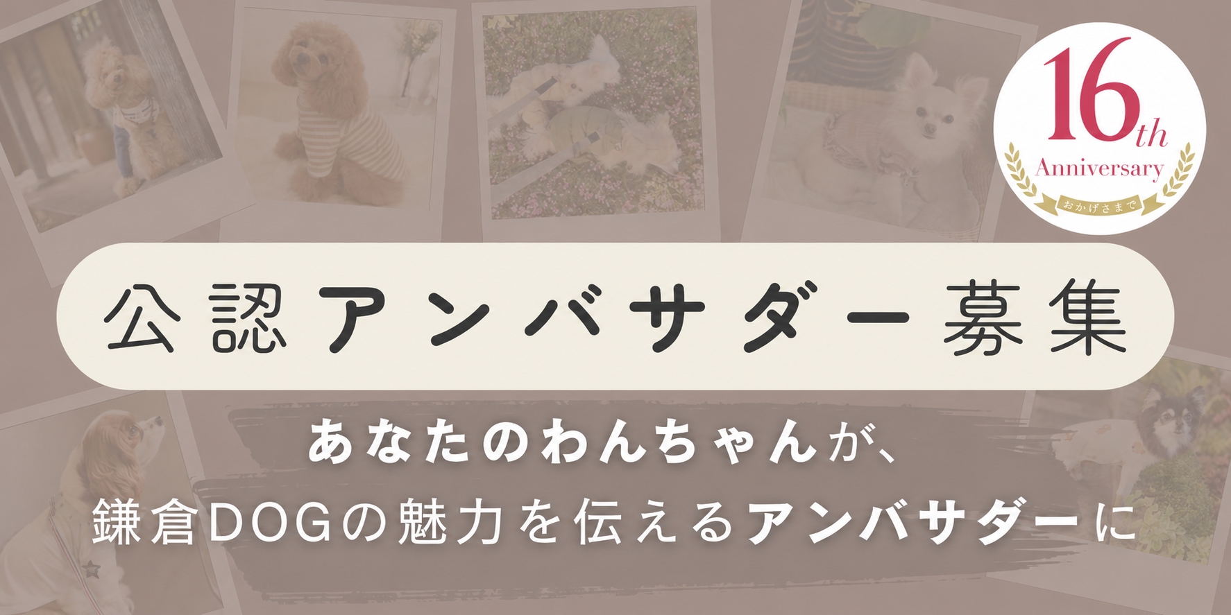鎌倉DOG 第2期 公認アンバサダー募集