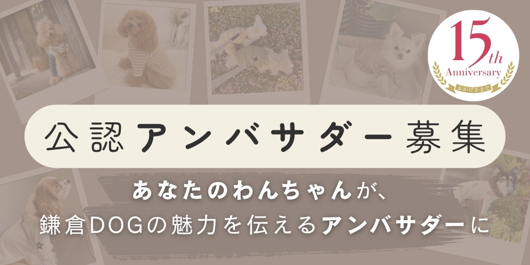 鎌倉DOG 公認アンバサダー募集のお知らせ