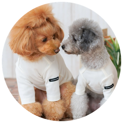小型犬用ベーシック犬服特集｜鎌倉DOG公式通販