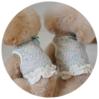 小型犬用フラワー柄犬服特集｜かわいい花柄ドッグウェア