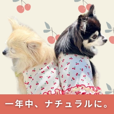 犬服 フルーツ柄 特集