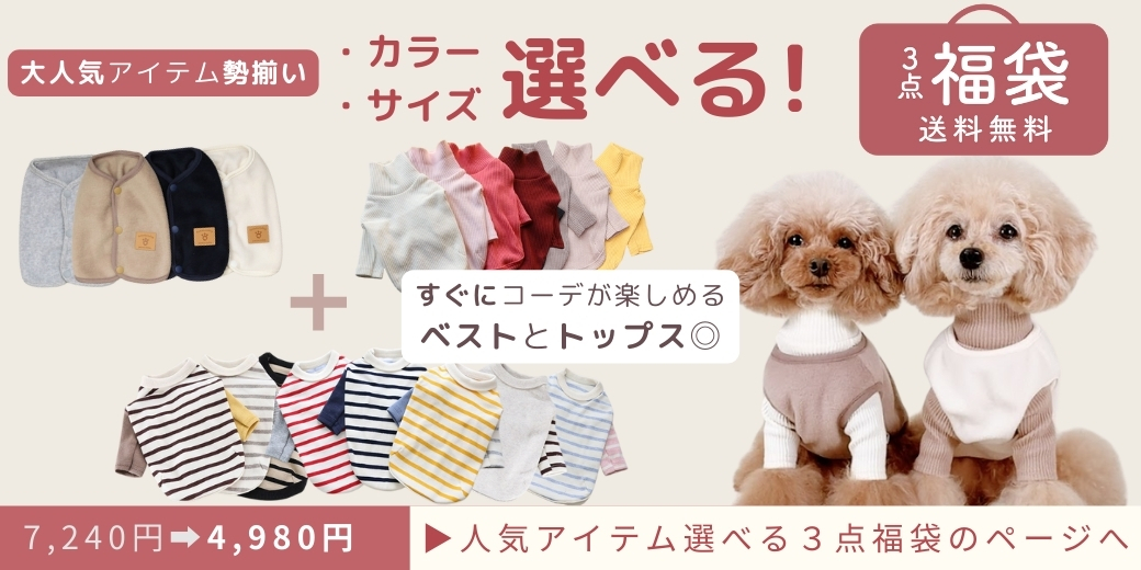 人気アイテム選べる３点福袋