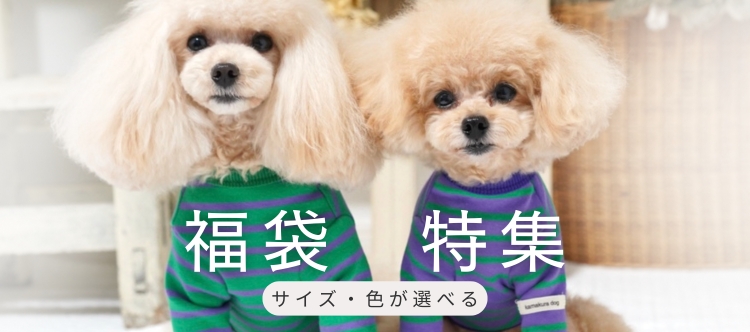 鎌倉DOGの福袋特集｜人気商品入り・サイズと色が選べる犬服福袋