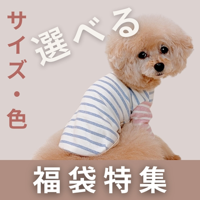 犬服　福袋特集