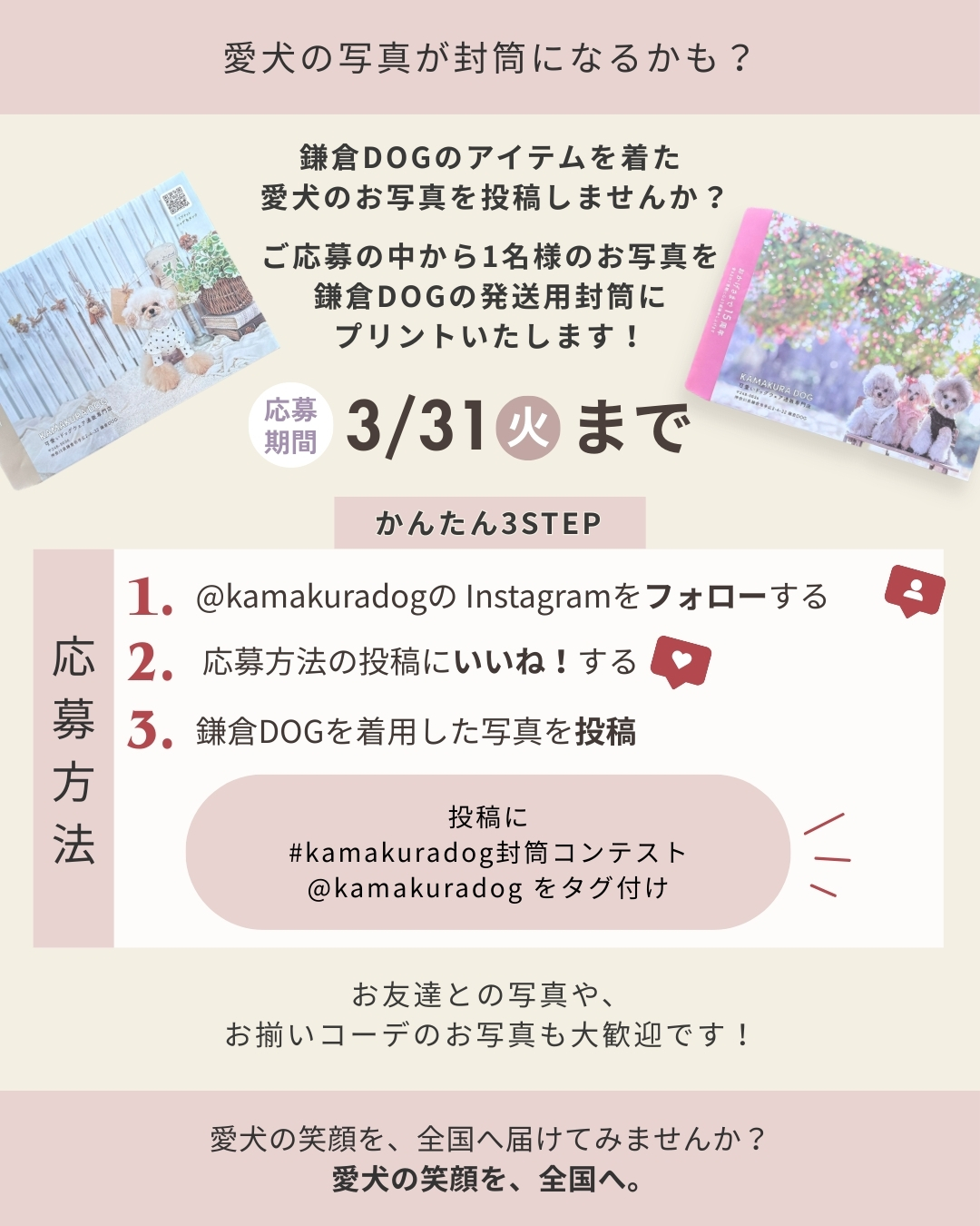 鎌倉DOG 封筒フォトコンテストのお知らせ