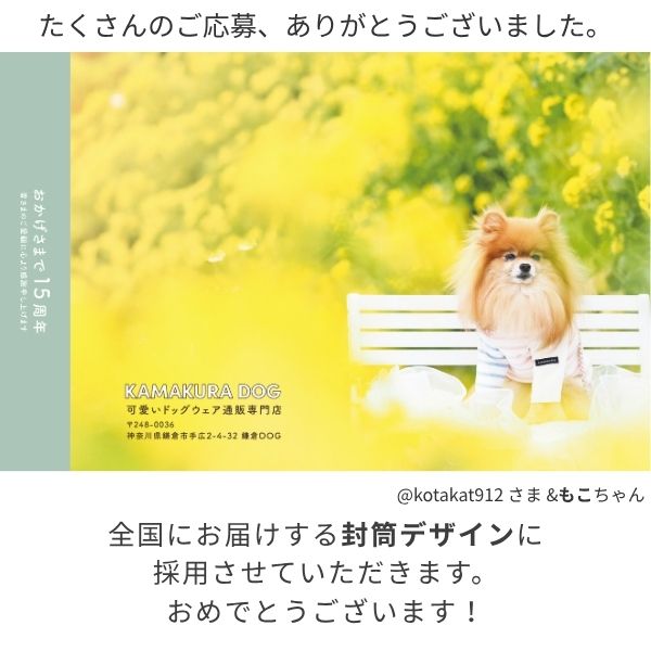 鎌倉DOG 封筒フォトコンテストのお知らせ