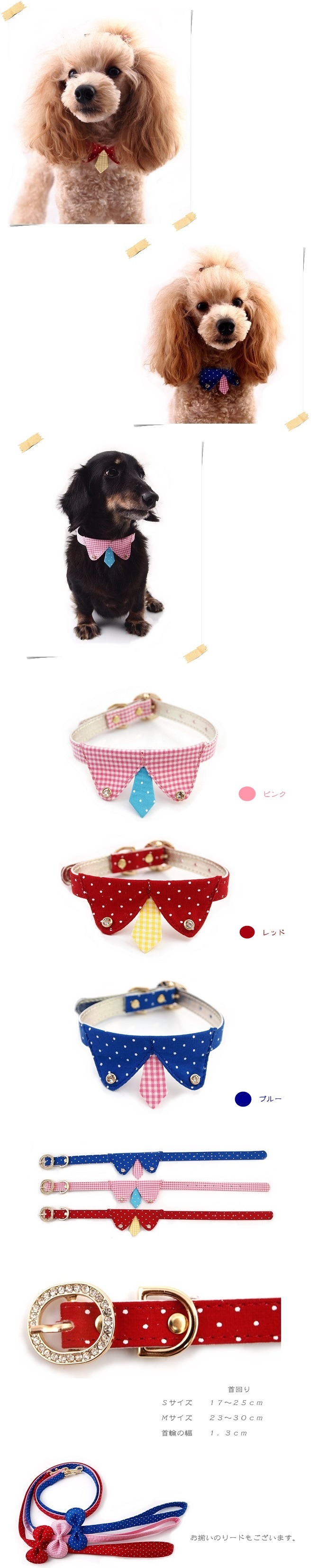 愛犬の首周りをご確認下さい