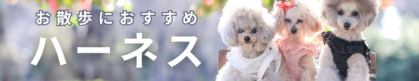 小型犬用ハーネス