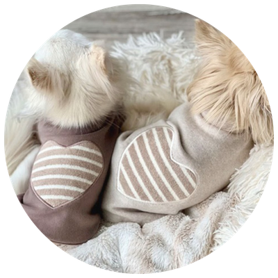 小型犬用ハート柄犬服特集｜かわいいドッグウェア通販