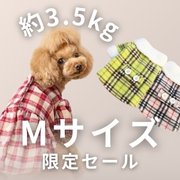 3.5前後のわんちゃんにお得なアイテム