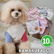 ショート丈ボーダーズ