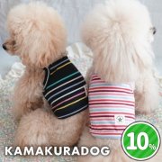 リフレッシュボーダーキャミソール