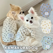 ポップデイズトップス