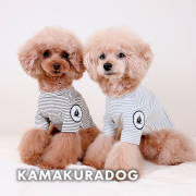 マリンボーダーＴシャツ