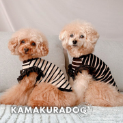 シックボーダートップス