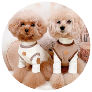 小型犬用ベスト特集｜秋冬に人気の犬用トップス