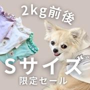 2kg前後のわんちゃんにお得なアイテム