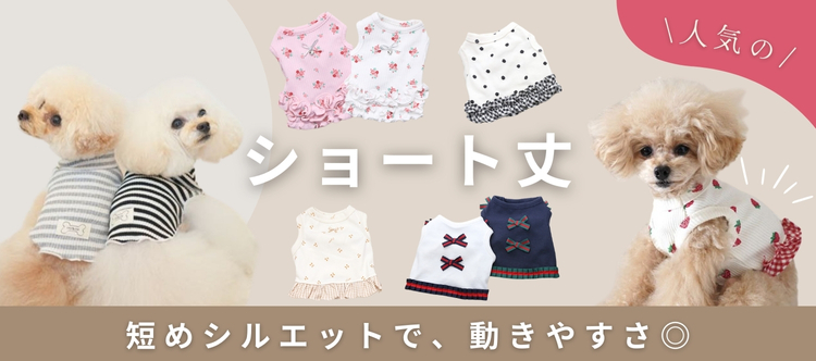 犬服 ショート丈　特集