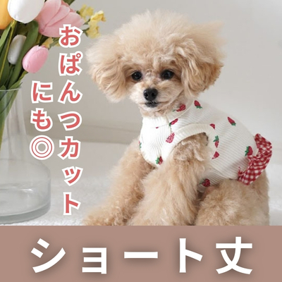 鎌倉DOG 小型犬用犬用ショート丈トップス特集