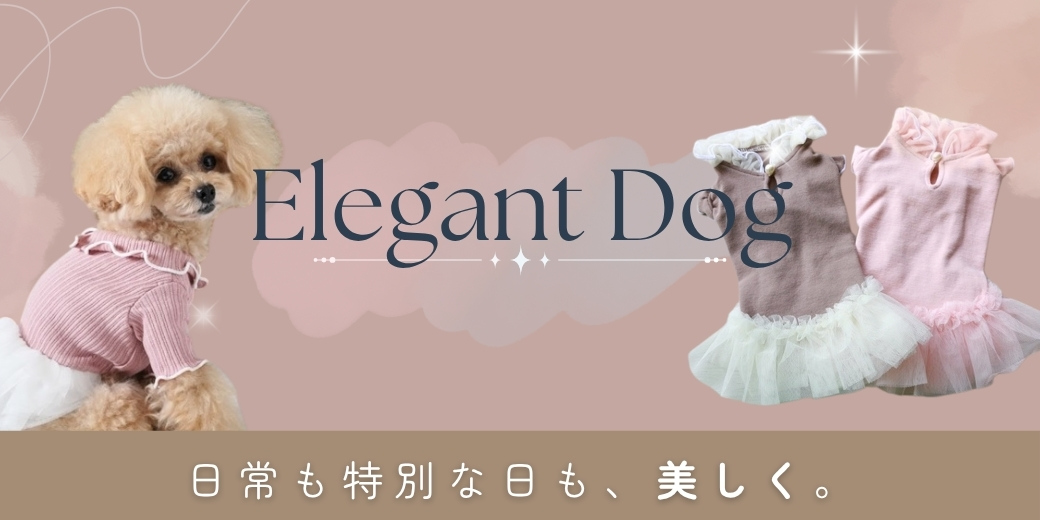 エレガントな犬服特集。ツイードドレス、パールアクセサリー、リボンを組み合わせたおしゃれなコーディネート提案。小型犬にぴったりの上品なスタイル。
