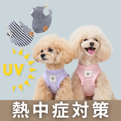 犬服熱中症対策