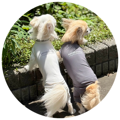 鎌倉DOGの熱中症対策アイテム特集｜ひんやり快適な犬用クールウェア・UVカット用品
