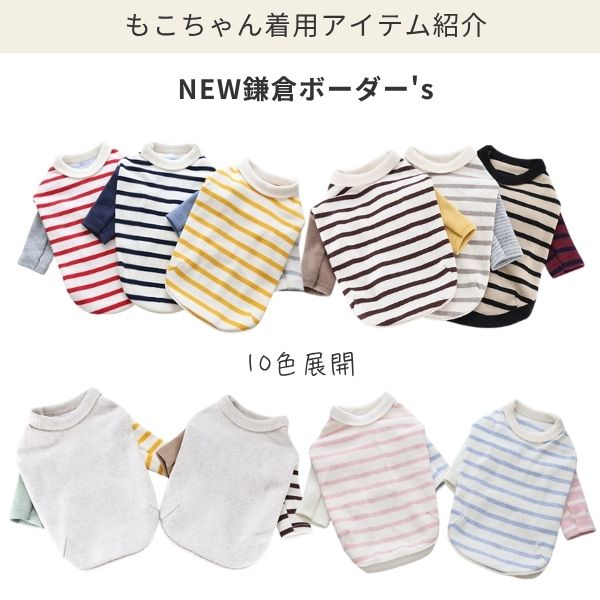 鎌倉DOG 封筒フォトコンテストのお知らせ