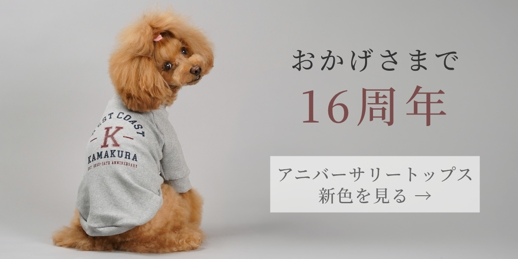 おかげさまで16周年 限定デザインTシャツ