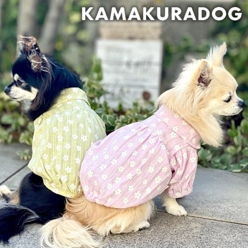 犬服通販の犬の服鎌倉dog 本店公式サイト 可愛い犬の服 犬猫のアクセサリー ドッグウェア グッズの通販 Kamakura Dog 犬服通販の犬の服鎌倉dog 本店公式サイト 可愛い犬の服 犬猫のアクセサリー ドッグウェア グッズの通販 Kamakura Dog