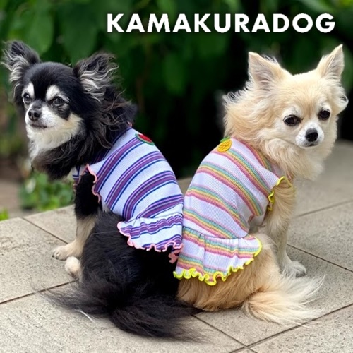犬服通販の犬の服鎌倉ｄｏｇ 本店公式サイト 可愛い犬の服 犬猫のアクセサリー ドッグウェア グッズの通販 Kamakura Dog