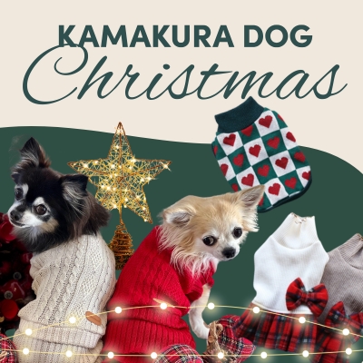 犬服　クリスマス特集
